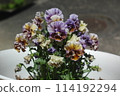 Viola 114192294