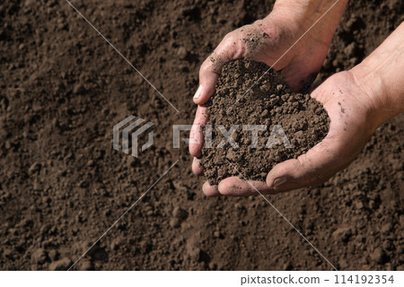 Man's hands holding a handful of earth Man's hands holding a handful of earth 114192354