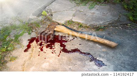 Irone axe lies on the ground Irone axe lies on the ground 114192417