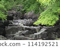 A gentle stream 114192521