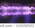 The buzz of cherry blossoms at night 114192522