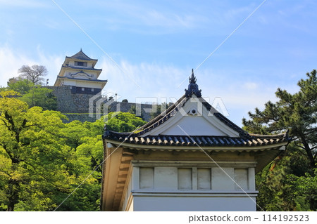 [香川縣] 從北側的內護城河看到丸龜城的新綠 114192523