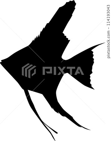 Angelfish  114193043