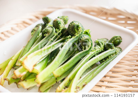 洗過的垃圾 114193157