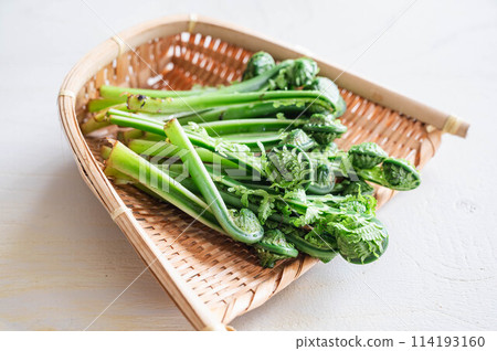 採摘野菜 114193160