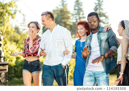 Multicultural group of friends walking together and having fun day outdoors. Multicultural group of friends walking together and having fun day outdoors. 114193308