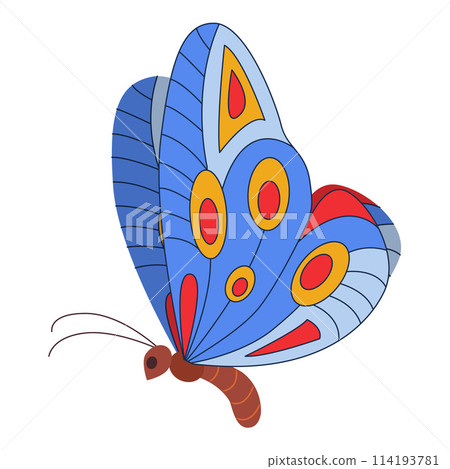Colorful Butterfly icon logo isolated. Beautiful Butterfly illustration Colorful Butterfly icon logo isolated. Beautiful Butterfly illustration 114193781