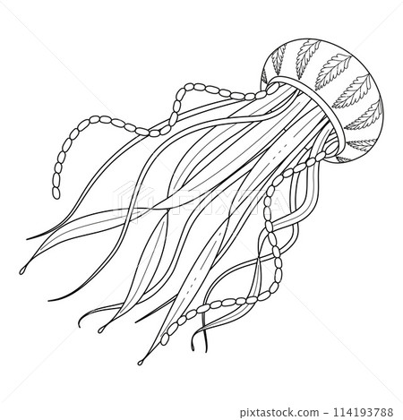 Jellyfish black and white line art illustration. Art therapy Coloring page 114193788