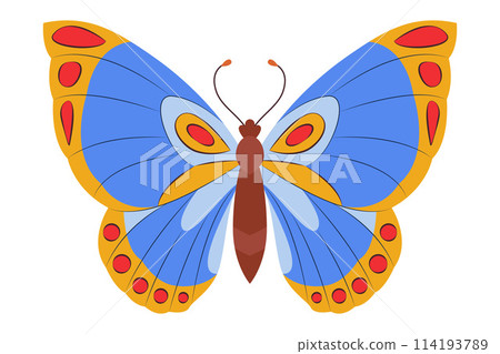 Colorful Butterfly icon logo isolated. Beautiful Butterfly illustration 114193789