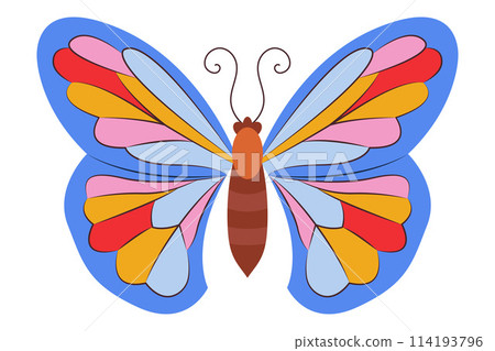 Colorful Butterfly icon logo isolated. Beautiful Butterfly illustration 114193796