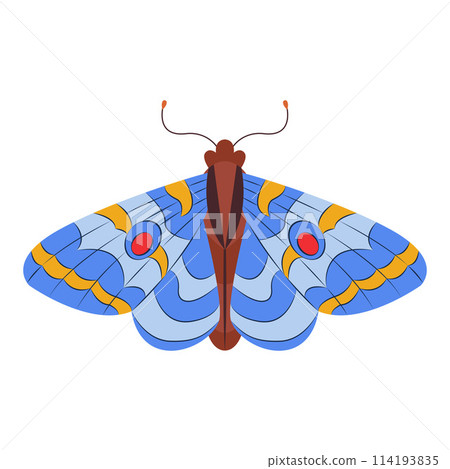 Colorful Butterfly icon logo isolated. Beautiful Butterfly illustration 114193835
