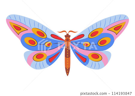 Colorful Butterfly icon logo isolated. Beautiful Butterfly illustration 114193847