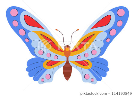 Colorful Butterfly icon logo isolated. Beautiful Butterfly illustration Colorful Butterfly icon logo isolated. Beautiful Butterfly illustration 114193849