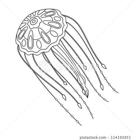 Jellyfish black and white line art illustration. Art therapy Coloring page Jellyfish black and white line art illustration. Art therapy Coloring page 114193851