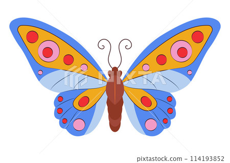 Colorful Butterfly icon logo isolated. Beautiful Butterfly illustration Colorful Butterfly icon logo isolated. Beautiful Butterfly illustration 114193852