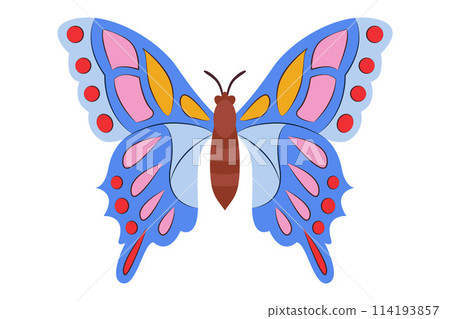 Colorful Butterfly icon logo isolated. Beautiful Butterfly illustration 114193857