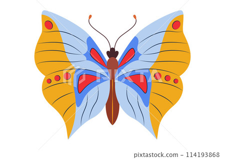 Colorful Butterfly icon logo isolated. Beautiful Butterfly illustration 114193868