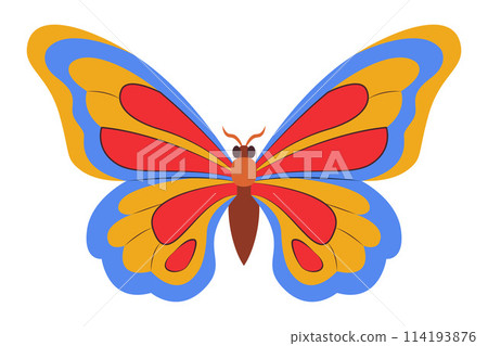 Colorful Butterfly icon logo isolated. Beautiful Butterfly illustration 114193876