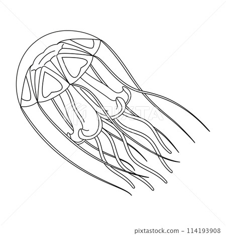 Jellyfish black and white line art illustration. Art therapy Coloring page 114193908