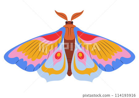 Colorful Butterfly icon logo isolated. Beautiful Butterfly illustration Colorful Butterfly icon logo isolated. Beautiful Butterfly illustration 114193916