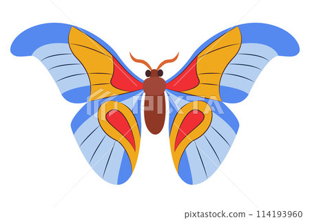 Colorful Butterfly icon logo isolated. Beautiful Butterfly illustration Colorful Butterfly icon logo isolated. Beautiful Butterfly illustration 114193960