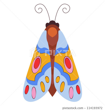 Colorful Butterfly icon logo isolated. Beautiful Butterfly illustration 114193972