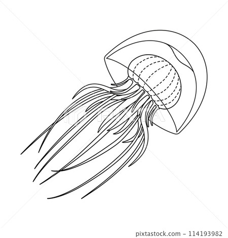 Jellyfish black and white line art illustration. Art therapy Coloring page 114193982