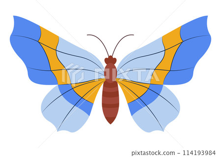 Colorful Butterfly icon logo isolated. Beautiful Butterfly illustration 114193984