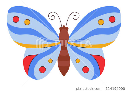 Colorful Butterfly icon logo isolated. Beautiful Butterfly illustration Colorful Butterfly icon logo isolated. Beautiful Butterfly illustration 114194000