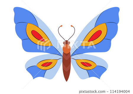 Colorful Butterfly icon logo isolated. Beautiful Butterfly illustration 114194004