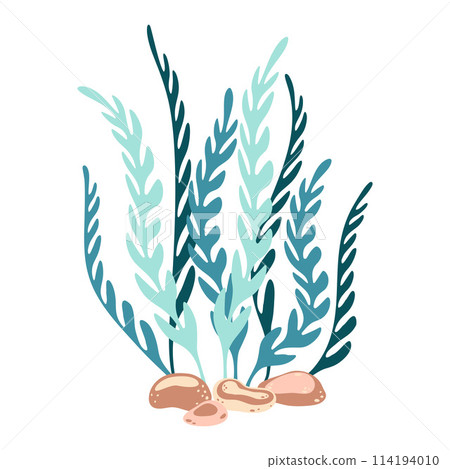 Seaweed. Hand drawn algae colorful seaweed. Modern flat illustration.  114194010