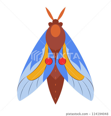 Colorful Butterfly icon logo isolated. Beautiful Butterfly illustration 114194048