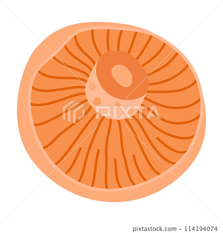 Saffron milk cap. Edible forest mushroom delicious milk cap 114194074