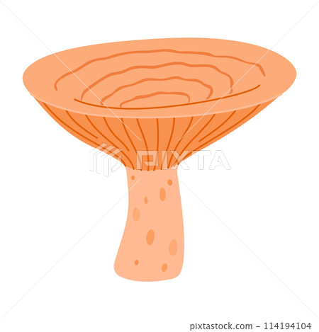 Saffron milk cap. Edible forest mushroom delicious milk cap 114194104