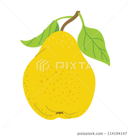 Ripe juicy pear cartoon style. Fresh pear with leaves. Ripe juicy pear cartoon style. Fresh pear with leaves. 114194147