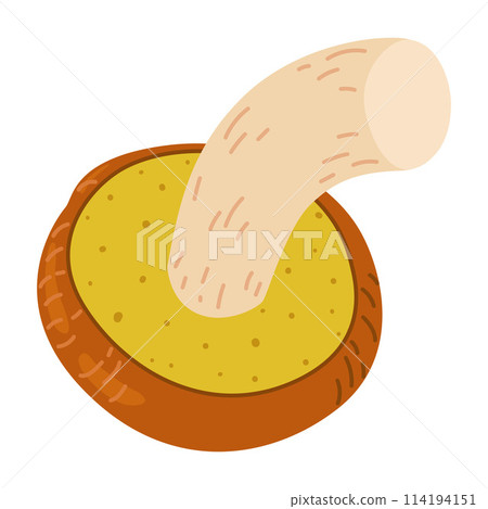 Suillus mushroom. Edible fungus. Cartoon flat style isolated on the white 114194151