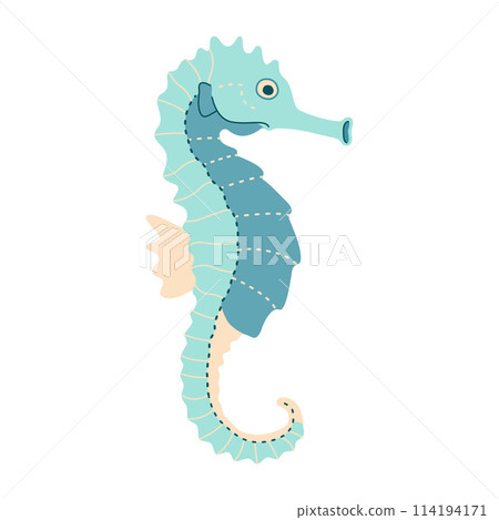 Cartoon Blue seahorse. Sea and ocean hippocampus flat illustration isolated on white Cartoon Blue seahorse. Sea and ocean hippocampus flat illustration isolated on white 114194171