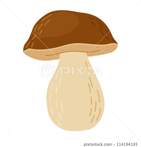 Boletus edulis forest mushroom. Hand drawn Porcini. Boletus edulis forest mushroom. Hand drawn Porcini. 114194185