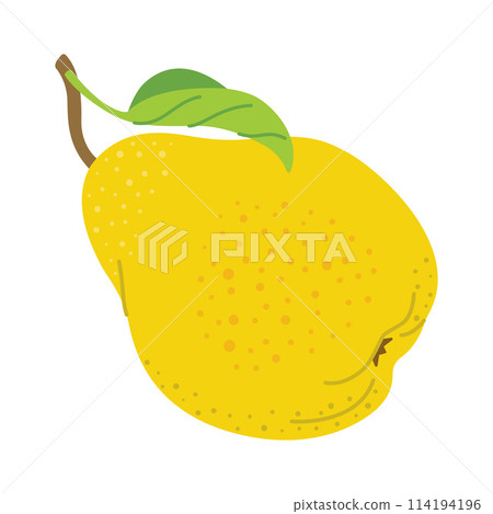 Ripe juicy pear cartoon style. Fresh pear with leaves. 114194196