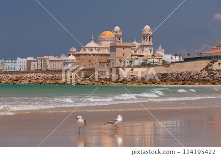 Sandy city beach in Cadiz on a sunny day. 114195422