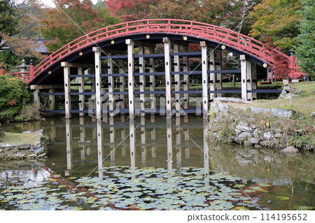 秋天Niyuu寺廟賣寺廟 秋天Niyuu寺廟賣寺廟 114195652