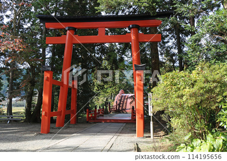 Autumn Niyuu shrine selling shrine 114195656