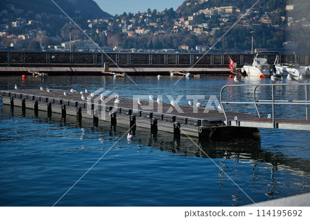 Mesmerizing alpine nature, mountains background with boats moored in Lake Como marina. Pedestrian bridge for boarding a ship with seagulls sitting in a row. Travel nd tourism concept. Italy Lombardy 114195692