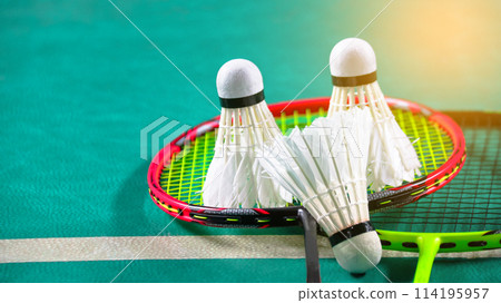 White badminton shuttlecocks and badminton rackets on green floor indoor badminton court soft and selective focus on shuttlecocks and the rackets White badminton shuttlecocks and badminton rackets on green floor indoor badminton court soft and selective focus on shuttlecocks and the rackets 114195957