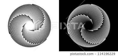 Set of circles with lines. Black spiral on white background and white spiral on black background. Dynamic design element with 3 parts. 114196229