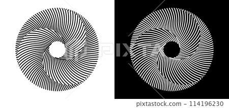 Set of circles with lines. Black spiral on white background and white spiral on black background. Dynamic design element with 3 parts. 114196230