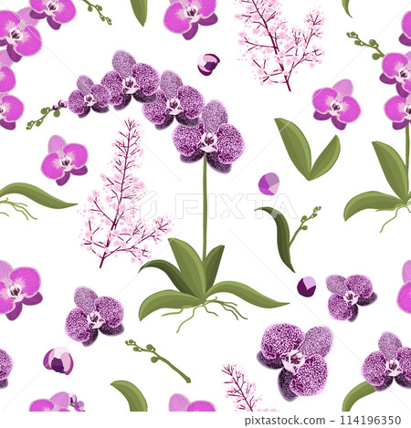 Orchid seamless pattern , Hand drawing. Not AI. Vector illustration Orchid seamless pattern , Hand drawing. Not AI. Vector illustration 114196350