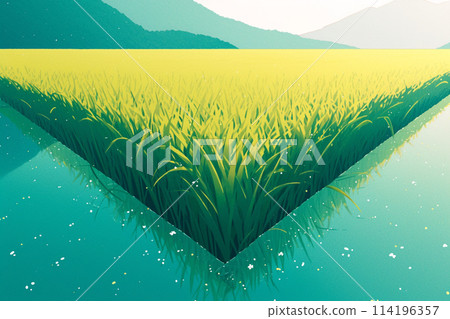 Rice spreading in a paddy field 114196357
