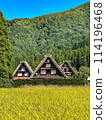 [Gifu Prefecture] Shirakawa-go 114196468