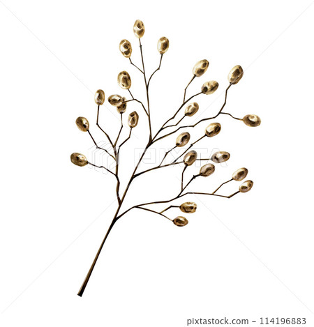 Realistic boho dried branch. Watercolor hand drawn berries, flower, grass clipart isolated on background. Christmas, winter, halloween and wedding illustration. For designers, invitations, decoration, Realistic boho dried branch. Watercolor hand drawn berries, flower, grass clipart isolated on background. Christmas, winter, halloween and wedding illustration. For designers, invitations, decoration, 114196883